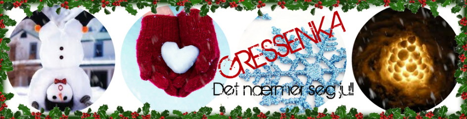 vinter-gressenka.jpg